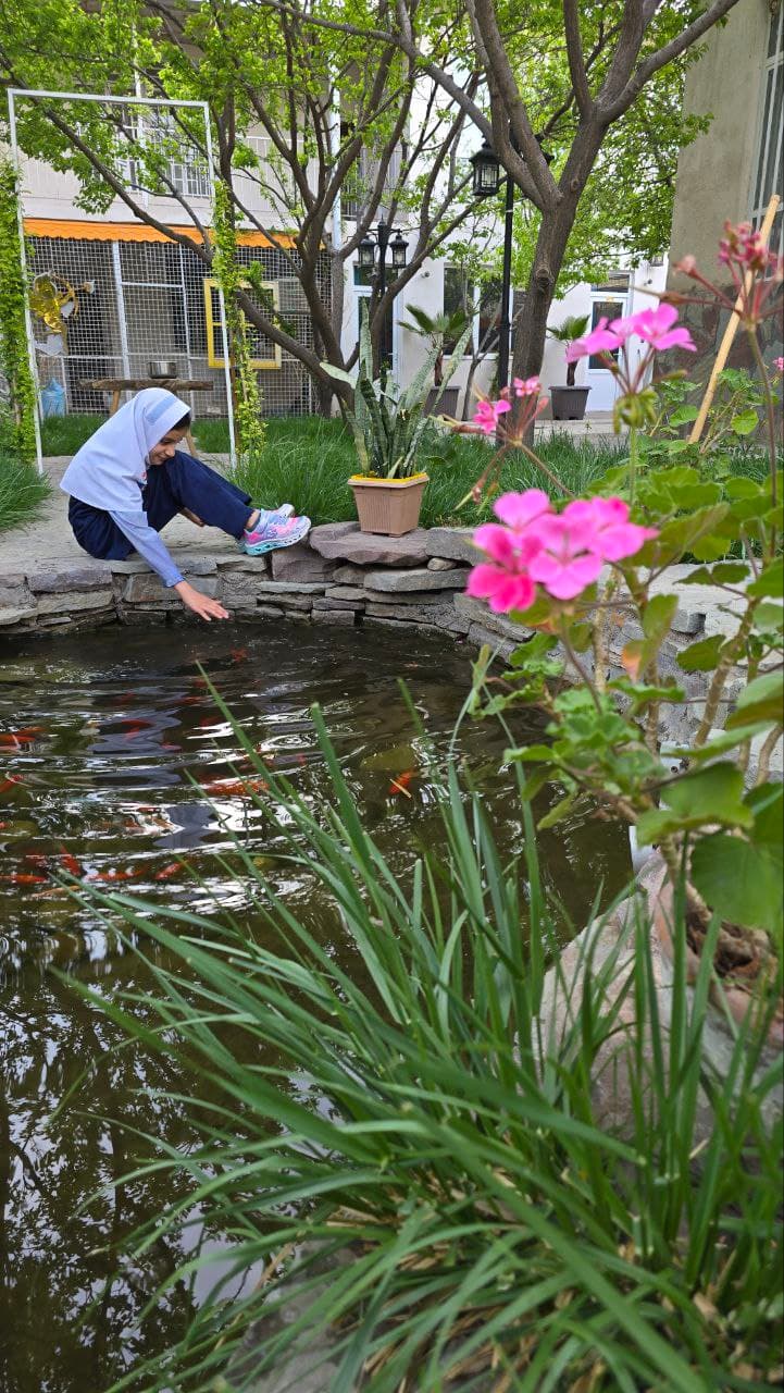 دبستان برتر اندیشان