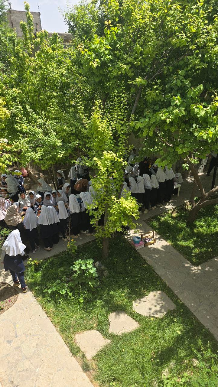 دبستان برتر اندیشان