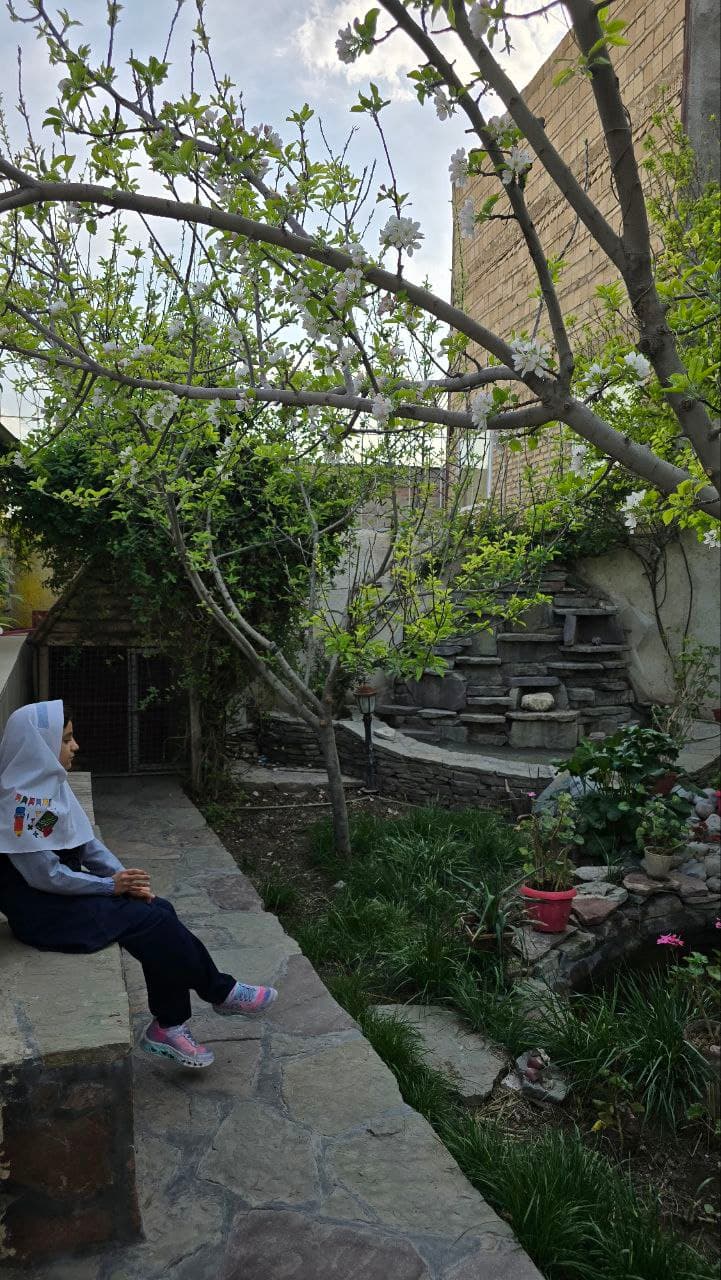 دبستان برتر اندیشان